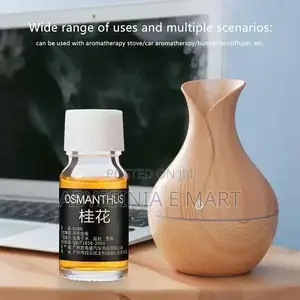 High Quality Ultrasonic Aroma Humidifier