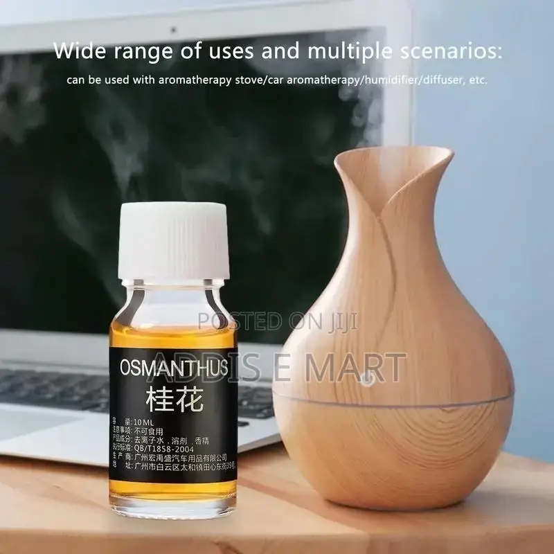 High Quality Ultrasonic Aroma Humidifier