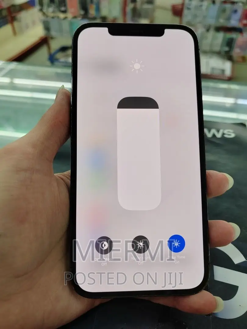 Apple iPhone 12 Pro Max 256 GB Blue