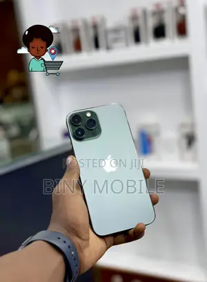 Apple iPhone 13 Pro Max 512 GB Green