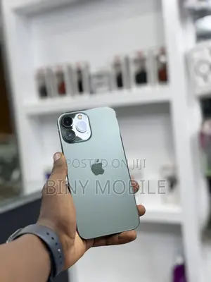 Apple iPhone 13 Pro Max 512 GB Green