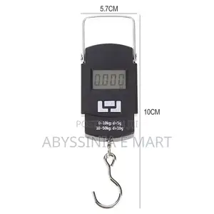 Portable Electric Scaler