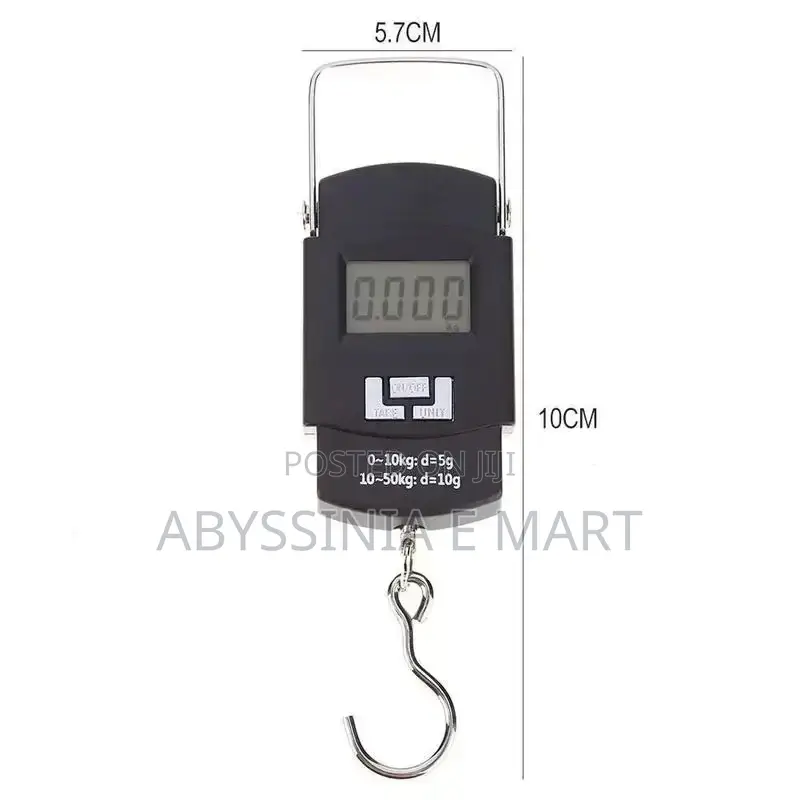 Portable Electric Scaler