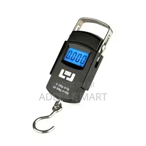 Portable Electric Scaler