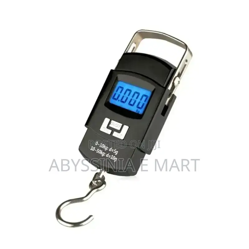 Portable Electric Scaler