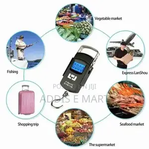 Photo - Portable Electric Scaler