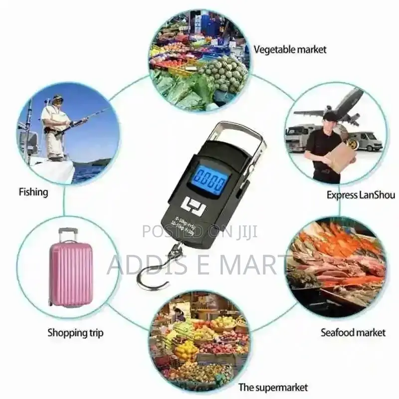 Portable Electric Scaler