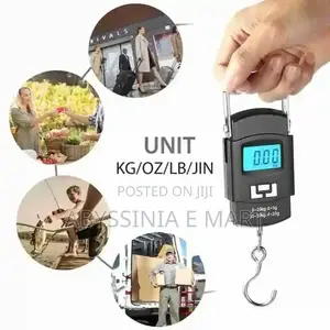 Portable Electric Scaler
