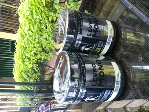 Photo - Original Kevine Levrone Micronised Creatine 300gm