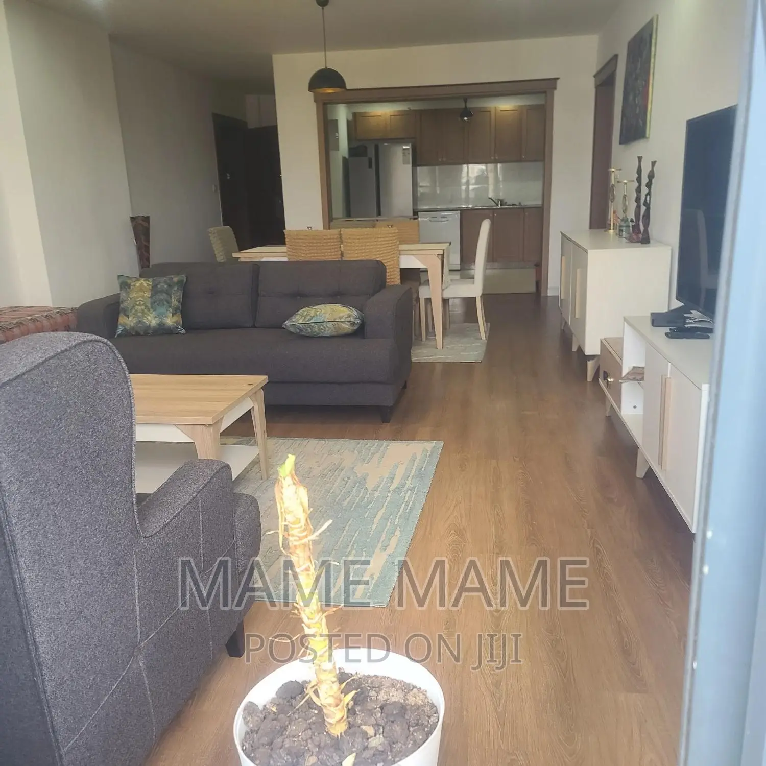 Furnished 4bdrm Apartment in Addis Abeba, Bole for rent