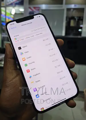 Apple iPhone 12 Pro Max 256 GB Gray