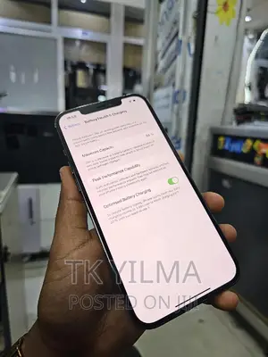 Apple iPhone 12 Pro Max 256 GB Gray