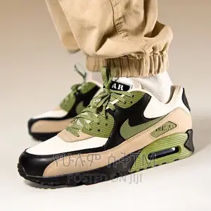 Original Nike Air Max Shoe
