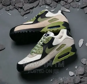 Original Nike Air Max Shoe