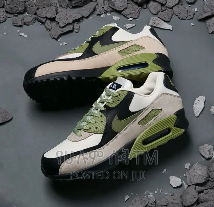 Original Nike Air Max Shoe