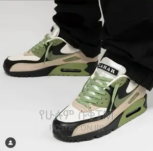 Photo - Original Nike Air Max Shoe