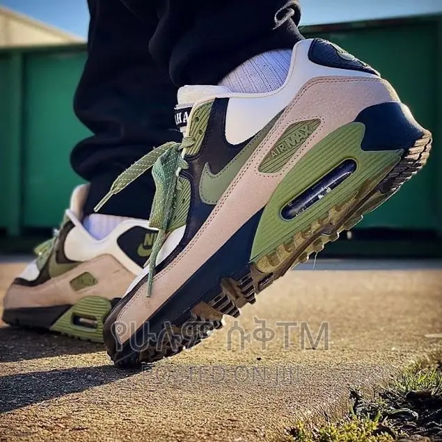 Original Nike Air Max Shoe