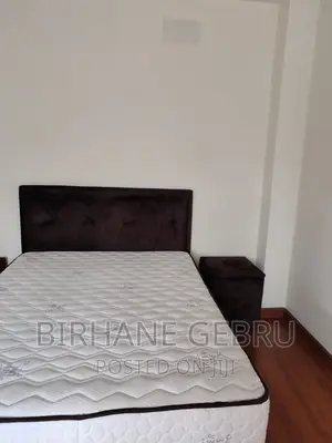 Furnished 3bdrm Apartment in Luxury Apartiment , Bole for rent
