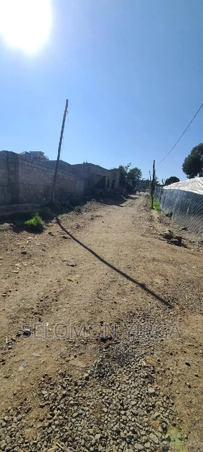 Lekiray Yekarb Megazn