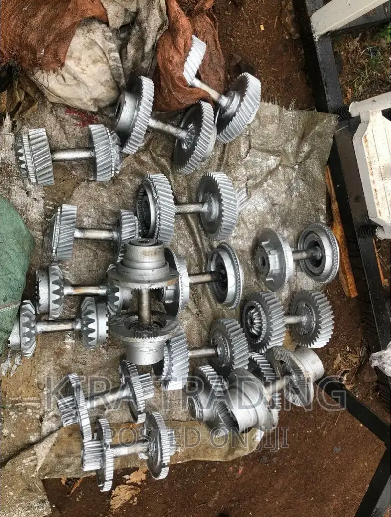 ምርጥ ዳምፔል 100 Per Kilo