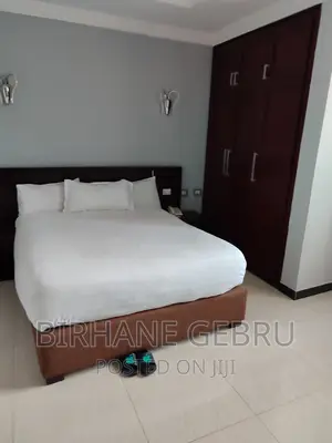 Furnished 2bdrm Apartment in Luxury Apartiment, Bole for rent