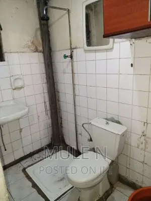 1bdrm Condo in Shola Megenagna, Yeka for sale