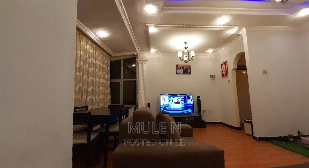 Furnished 10bdrm House in Wolo Sefer Aysha, Bole for sale