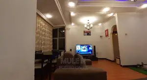 Furnished 10bdrm House in Wolo Sefer Aysha, Bole for sale