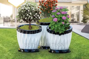 Flower Pots ፓላር አትክልት እና አበባ መትከያዎች