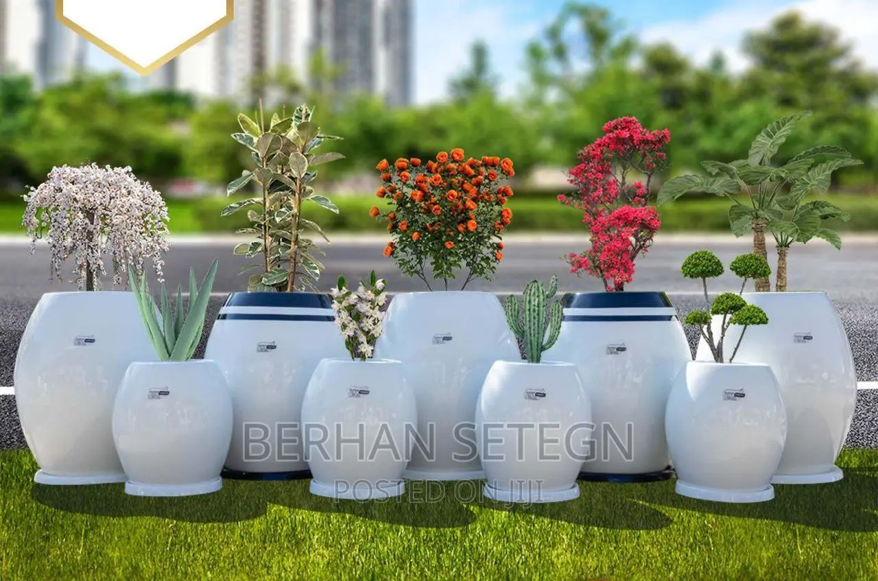 Flower Pots ፓላር አትክልት እና አበባ መትከያዎች