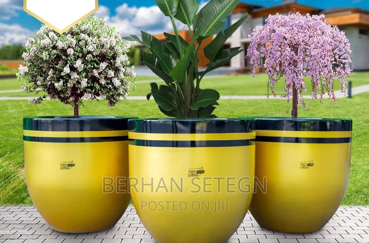 Flower Pots ፓላር አትክልት እና አበባ መትከያዎች