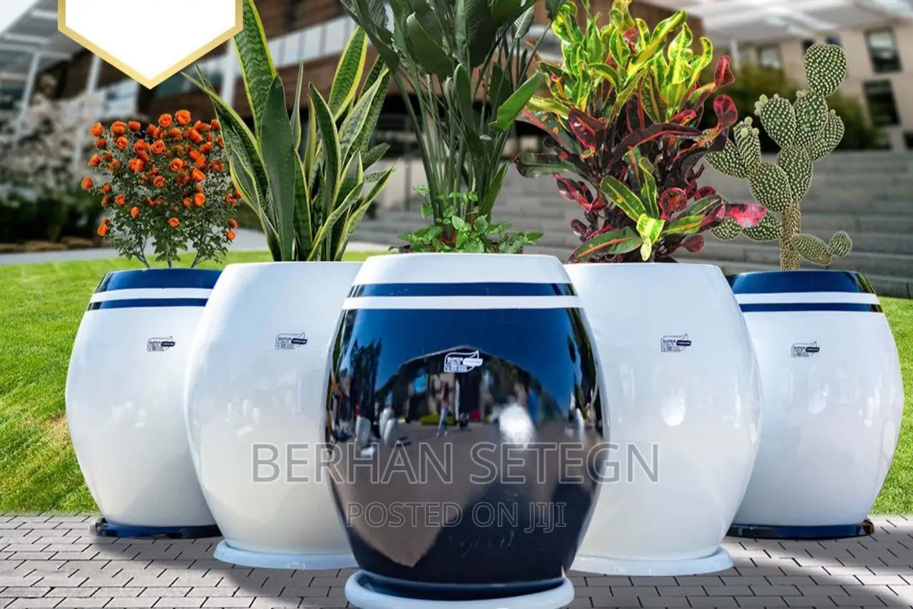 Flower Pots ፓላር አትክልት እና አበባ መትከያዎች