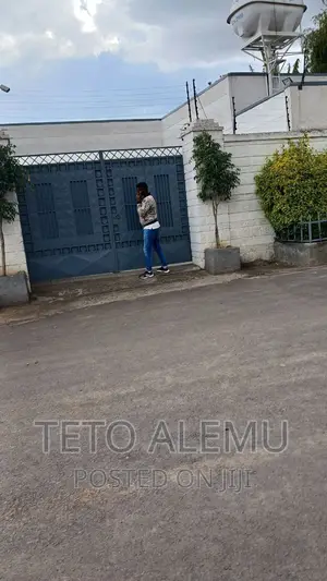 Furnished 3bdrm Villa in የሚሸጥ ቤት 22 መክሊት ህንፃ, Bole for sale