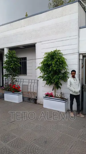 Furnished 3bdrm Villa in የሚሸጥ ቤት 22 መክሊት ህንፃ, Bole for sale