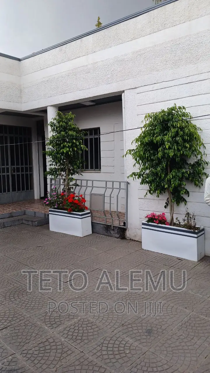 Furnished 3bdrm Villa in የሚሸጥ ቤት 22 መክሊት ህንፃ, Bole for sale