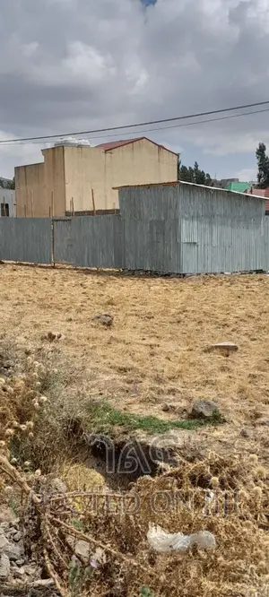 ሳሚት አትሌቶች መንደር 500 ካሬ ባዶ ቦታ ይሸምቱ