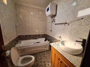 Furnished 3bdrm Apartment in Lideta for rent