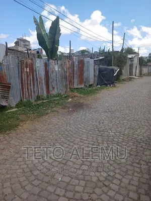 የሚሸጥ ቦታ ጃክሮስ ሜታ