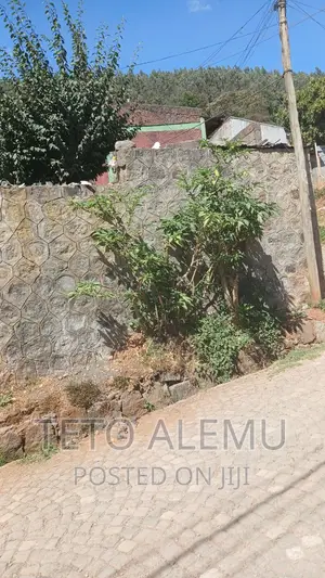 የሚሸጥ ቦታ ጃክሮስ ሜታ