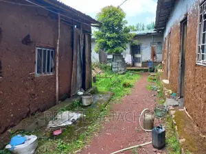 Land for Sale at Wossen --186sqm