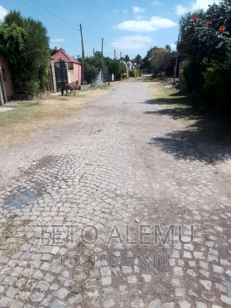 3bdrm Villa in የሚሸጥ ቪላ ደብር ዘይት ከተማ, East Shewa for sale