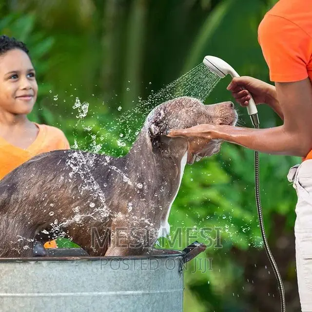 Portable Outdoor Shower Pump