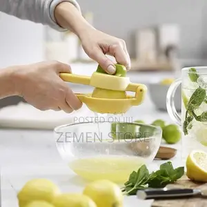 Manual Citrus Press