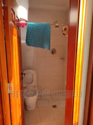 Furnished 2bdrm Apartment in Luxry Apartiment, Bole for rent