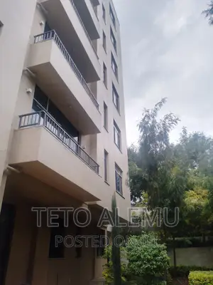 2bdrm Apartment in Luxurious Apartment, Bole for sale