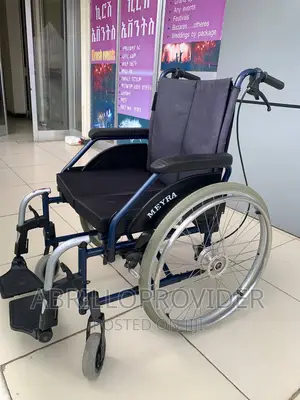 Meyra_wheelchair`Wheelchair`Wheelchair-Wheelchair_wheel Usd