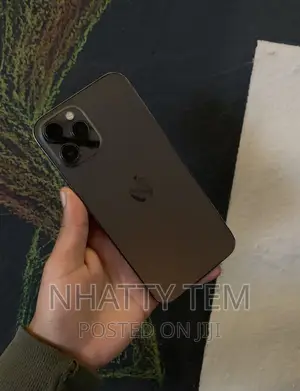 Apple iPhone 12 Pro Max 128 GB Gray