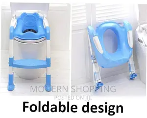 Potty Training Seat With Step Ladder
