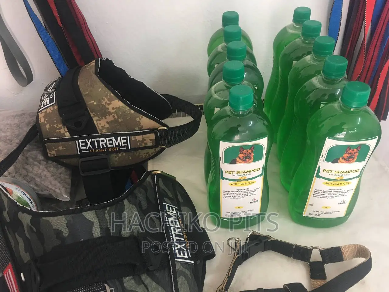 0-1 month Male Purebred Affenpinscher