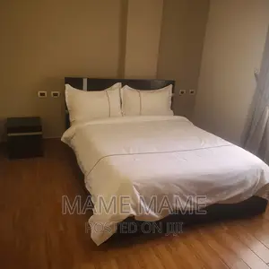 Furnished 2bdrm Apartment in Addis Abeba, Bole for rent